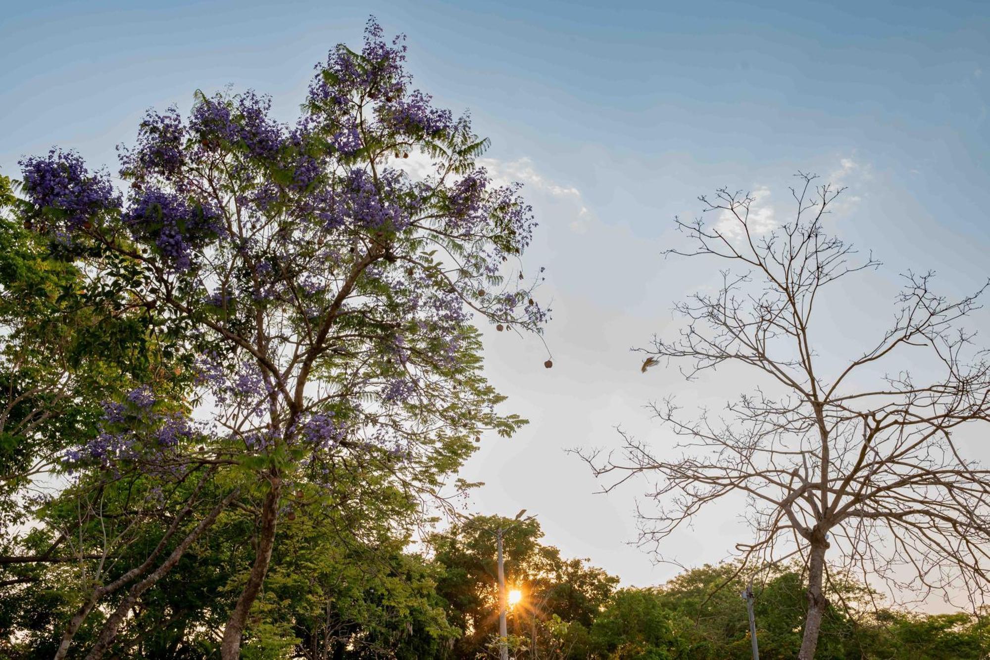 Spa Agua Milagrosa Cuiabá Exteriér fotografie