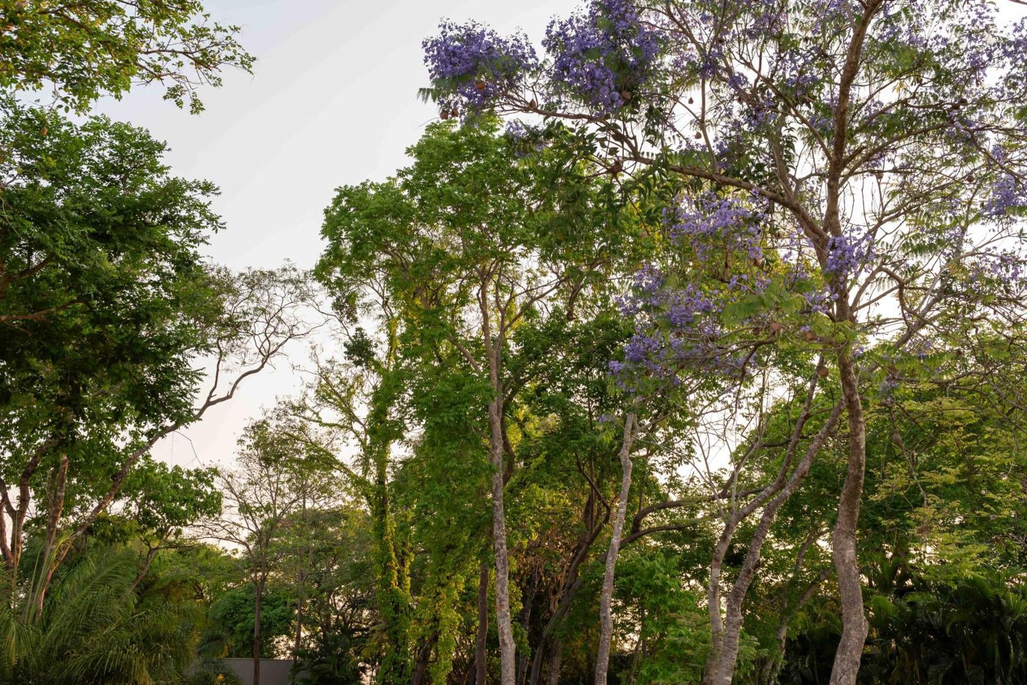 Spa Agua Milagrosa Cuiabá Exteriér fotografie