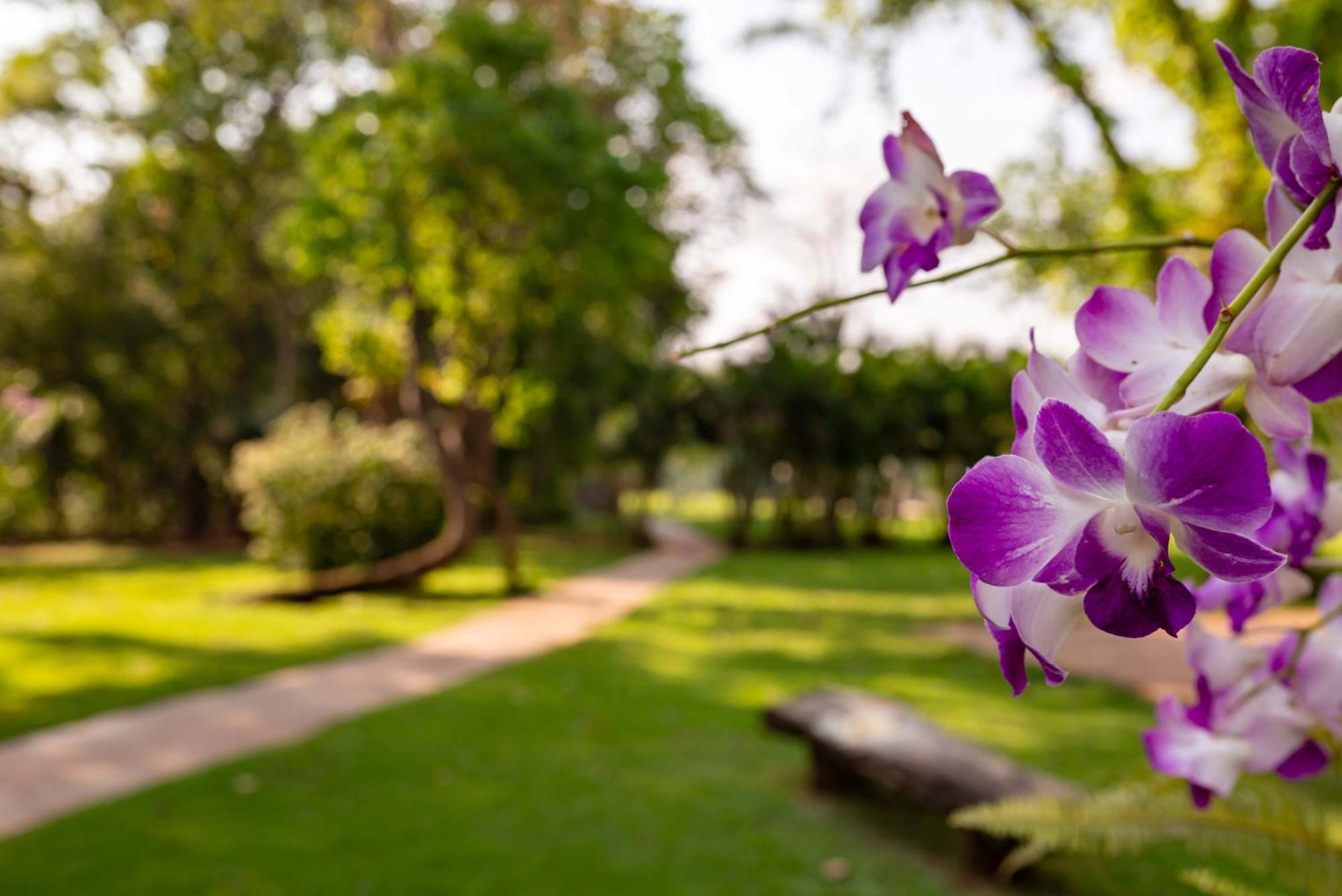 Spa Agua Milagrosa Cuiabá Exteriér fotografie